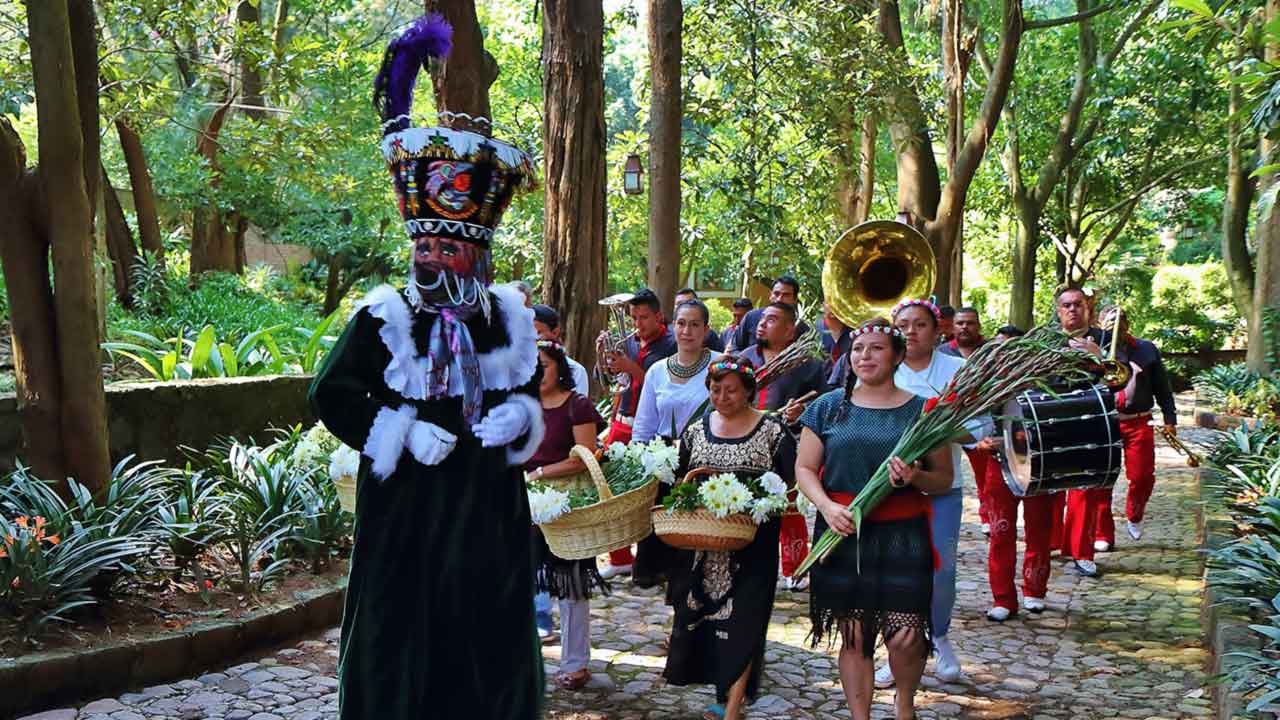 Rincones de Amomoxtli y Tepoztlán