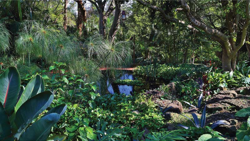Jardines de Amomoxtli con árboles y vegetación